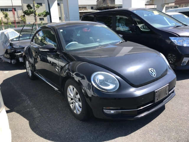 VOLKSWAGEN THE BEETLE