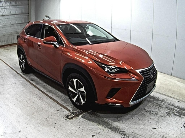 LEXUS NX