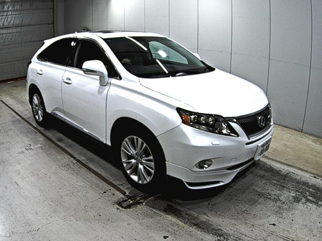 LEXUS RX