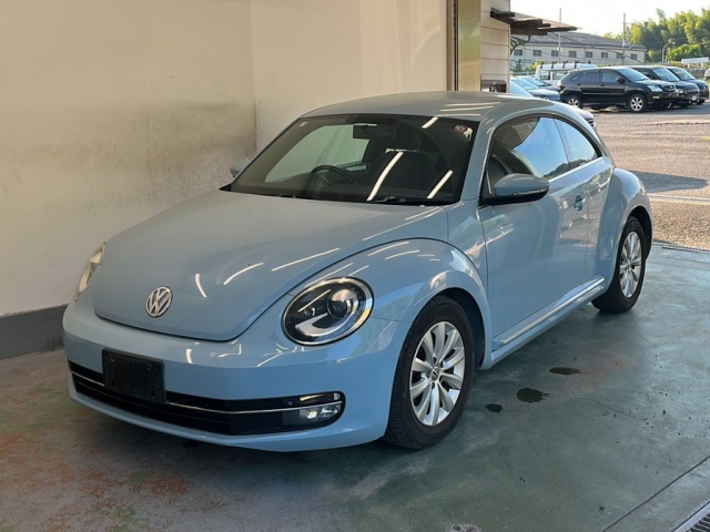 VOLKSWAGEN THE BEETLE