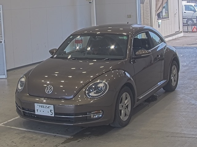 VOLKSWAGEN THE BEETLE