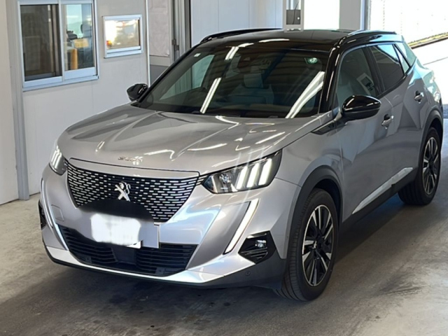 PEUGEOT E-2008