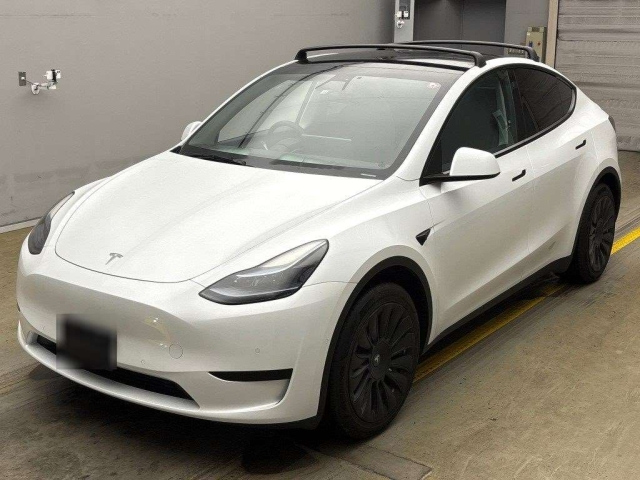 TESLA MODELY
