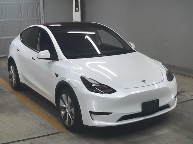 TESLA MODELY