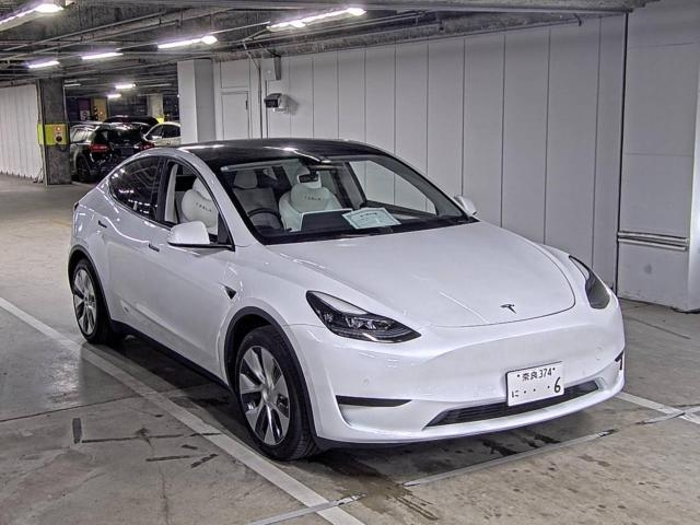 TESLA MODELY