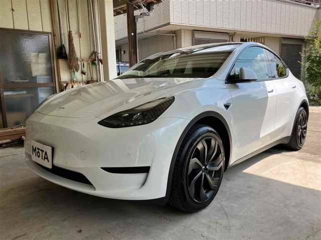 TESLA MODELY