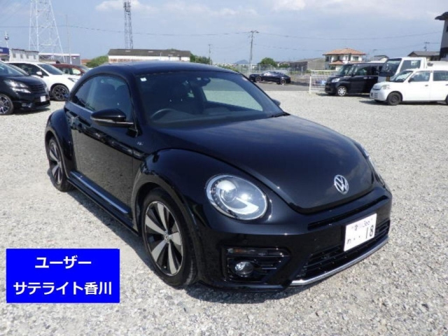 VOLKSWAGEN THE BEETLE