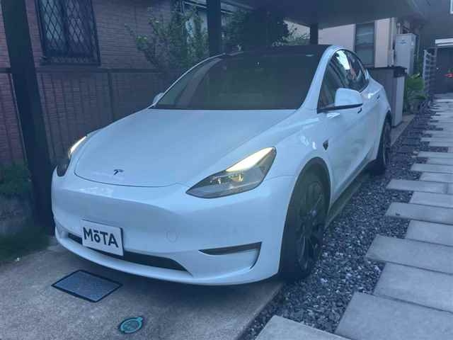 TESLA MODELY