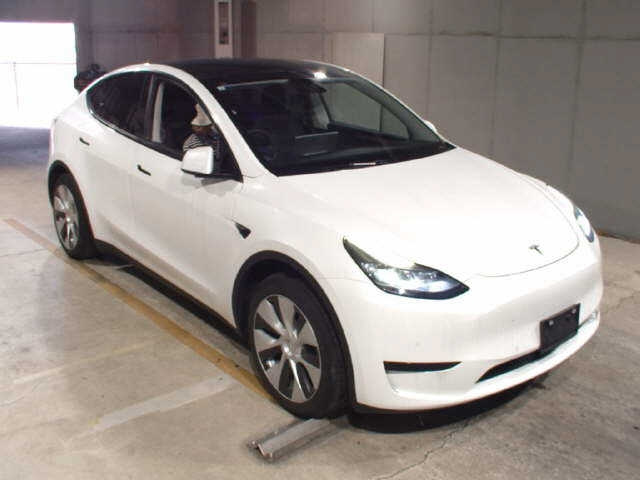 TESLA MODELY