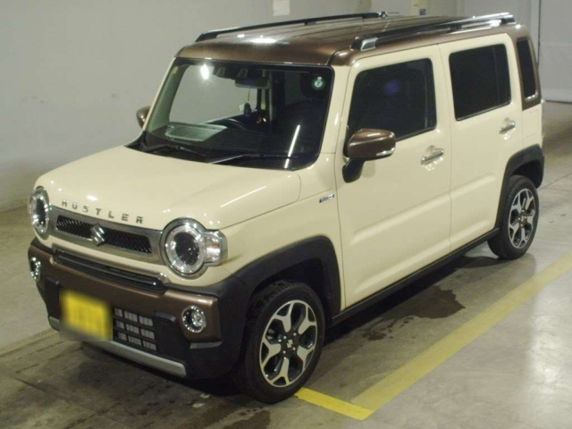 SUZUKI HUSTLER