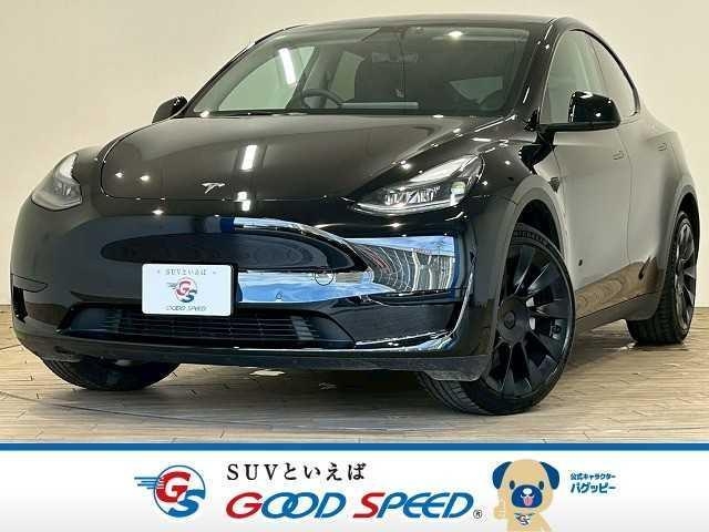 OTHER MODEL Y
