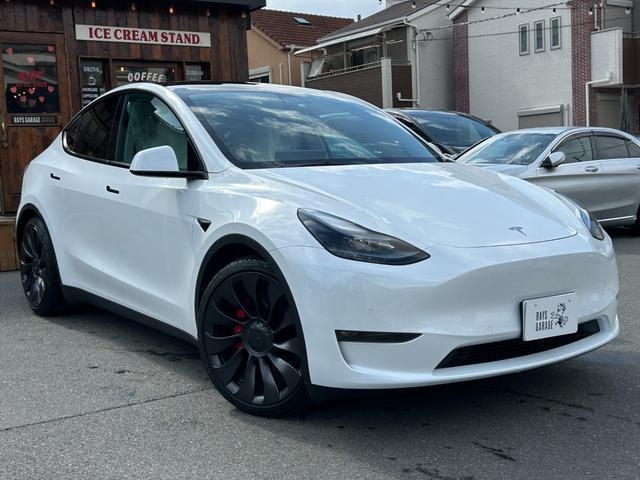 OTHER MODEL Y