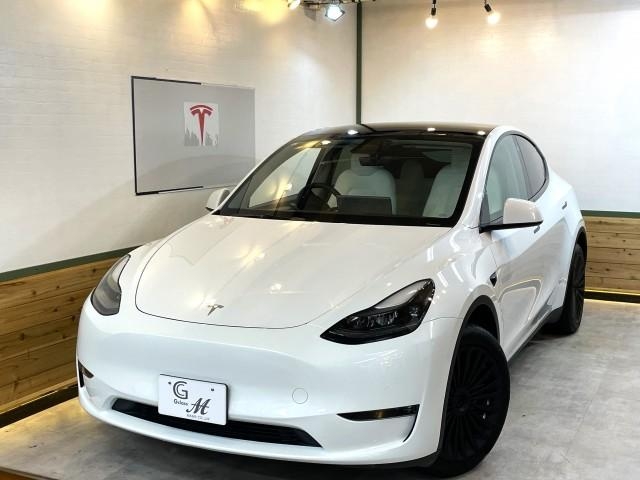 OTHER MODEL Y
