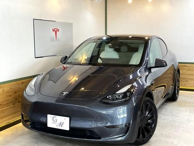 OTHER MODEL Y