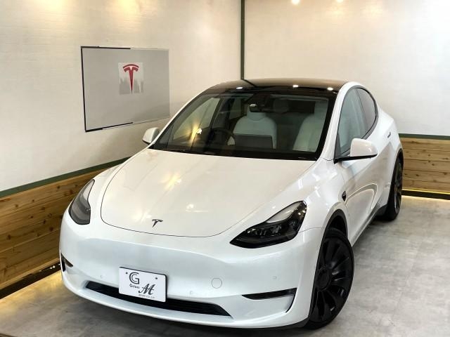 OTHER MODEL Y