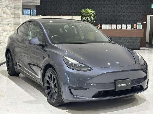 OTHER MODEL Y