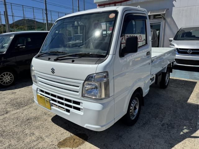 SUZUKI CARRY TRUCK